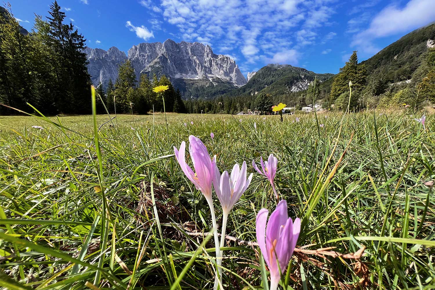 Tour Friaul 2023: Val Saisera: Blick zum Jôf di Montasio (Foto: Manuela Hahnebach)