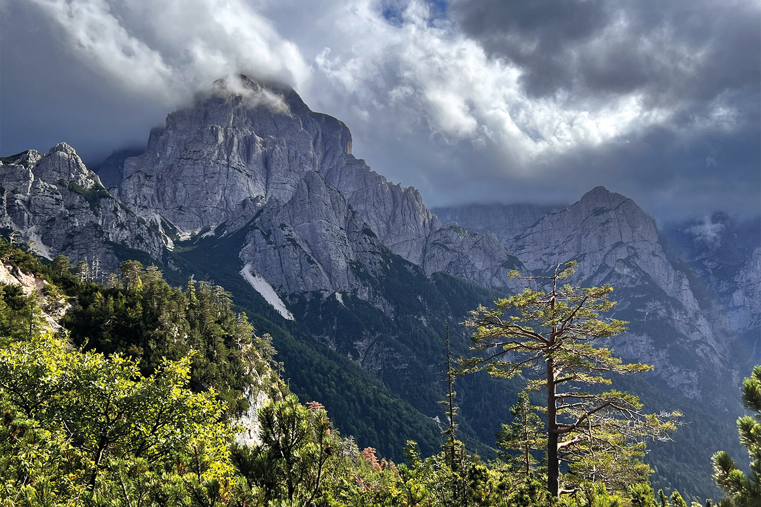 Tour Friaul 2023: Aufstieg aus dem Val Dogna zur Piper-Scharte: Blick zum Montasio (Foto: Manuela Hahnebach)