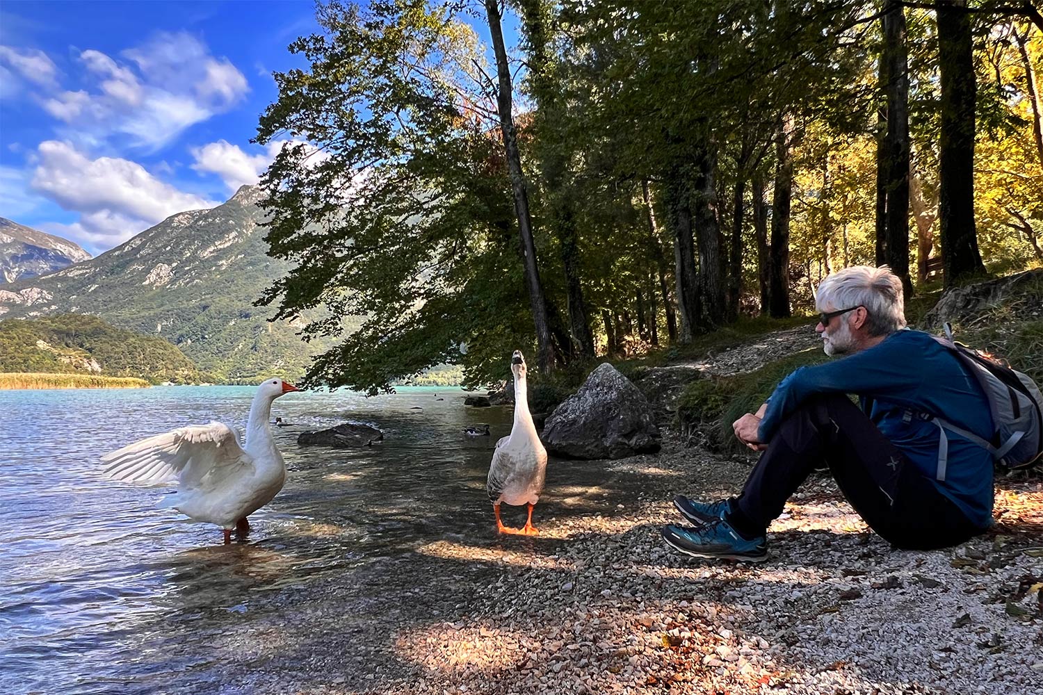 Tour Friaul 2023: Lago di Cavazzo: Gänse-Beobachtung (Foto: Manuela Hahnebach)