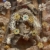 Tour Friaul 2023: Aquileia: Basilika: Reliquie in der Fresken-Krypta (Foto: Andreas Kuhrt)