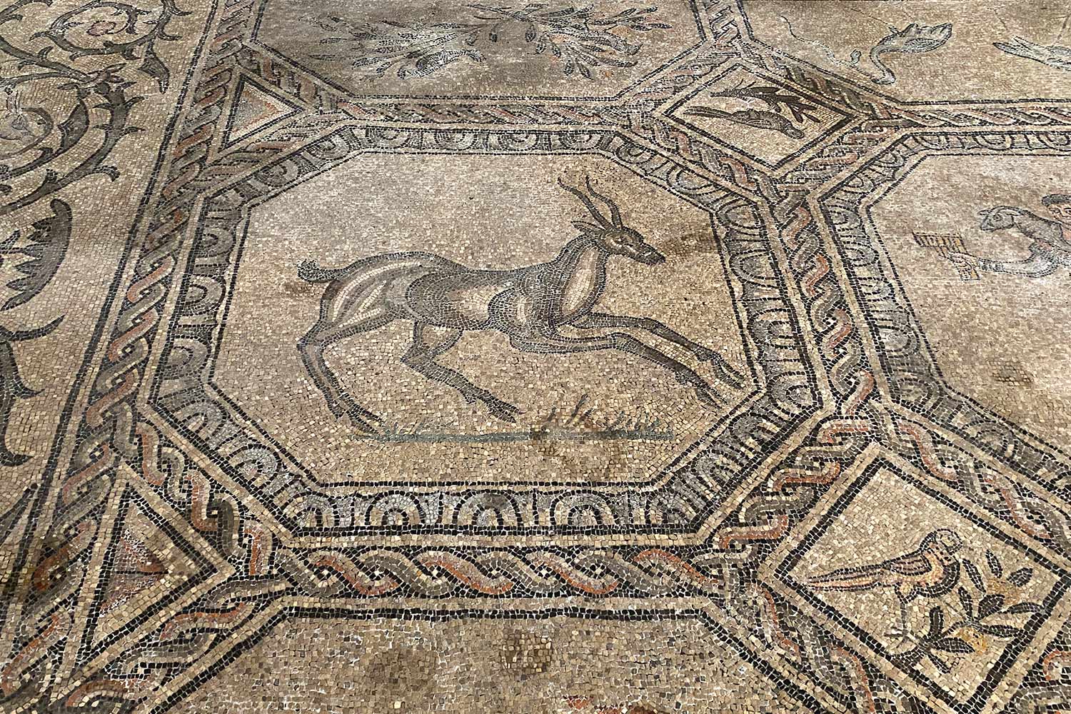 2023-friaul-aquileia-basilika-mosaik-IMG_6040ak Tour Friaul 2023: Aquileia: Basilika Relief (Foto: Andreas Kuhrt)