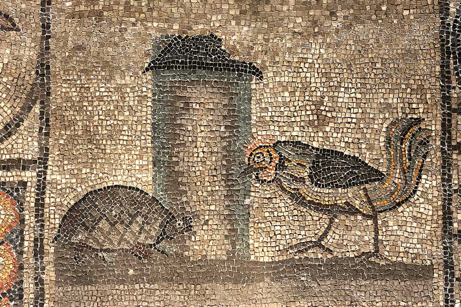 2023-friaul-aquileia-basilika-mosaik-schildkroete-und-hahn-IMG_6020ak Tour Friaul 2023: Aquileia: Basilika: Mosaik Schildkröte und Hahn (Foto: Andreas Kuhrt)