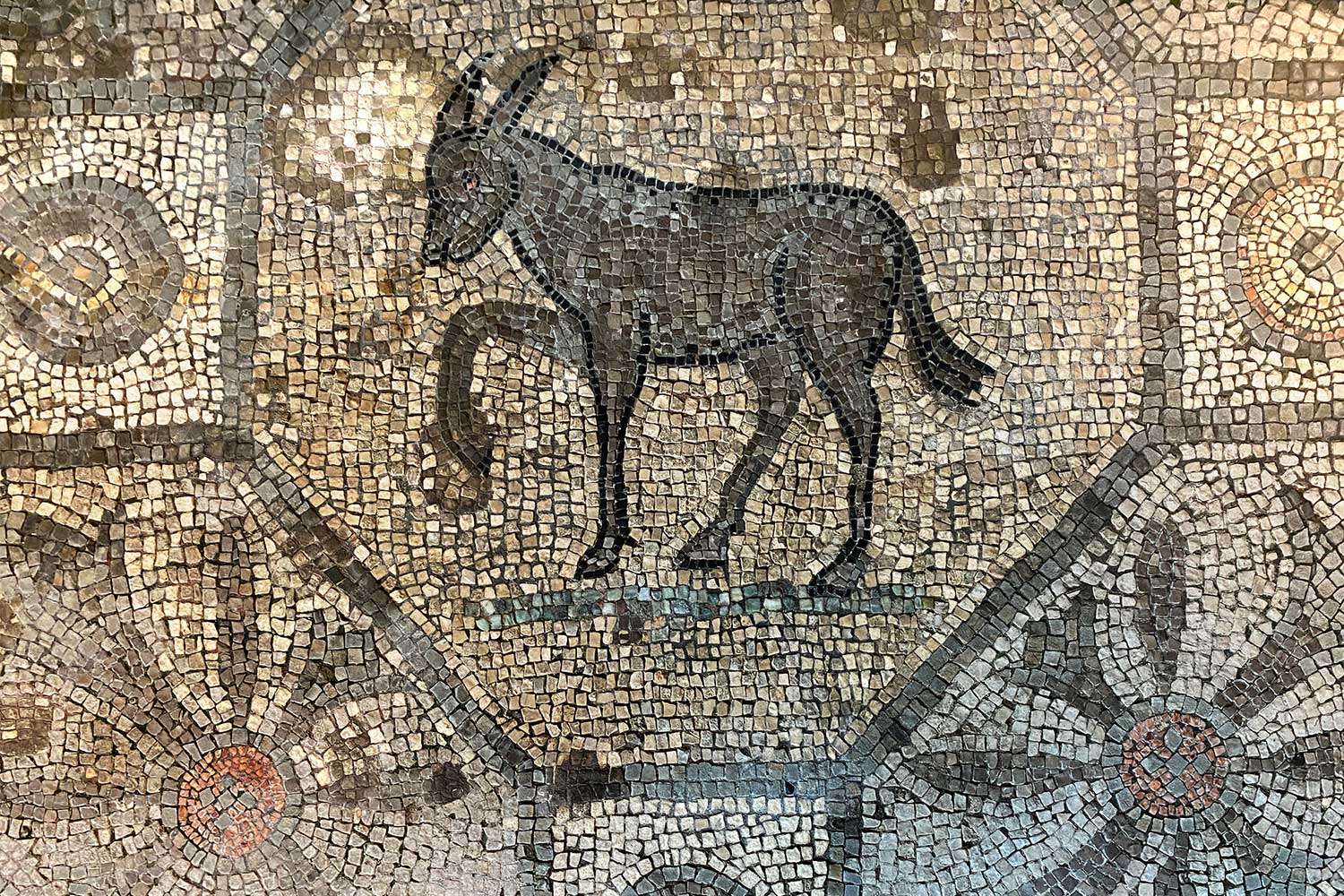 2023-friaul-aquileia-basilika-nordhalle-mosaik-IMG_6216ak Tour Friaul 2023: Aquileia: Basilika Nordhalle: Mosaik Esel (Foto: Andreas Kuhrt)
