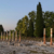 Tour Friaul 2023: Aquileia: Forum Romanum (Foto: Andreas Kuhrt)