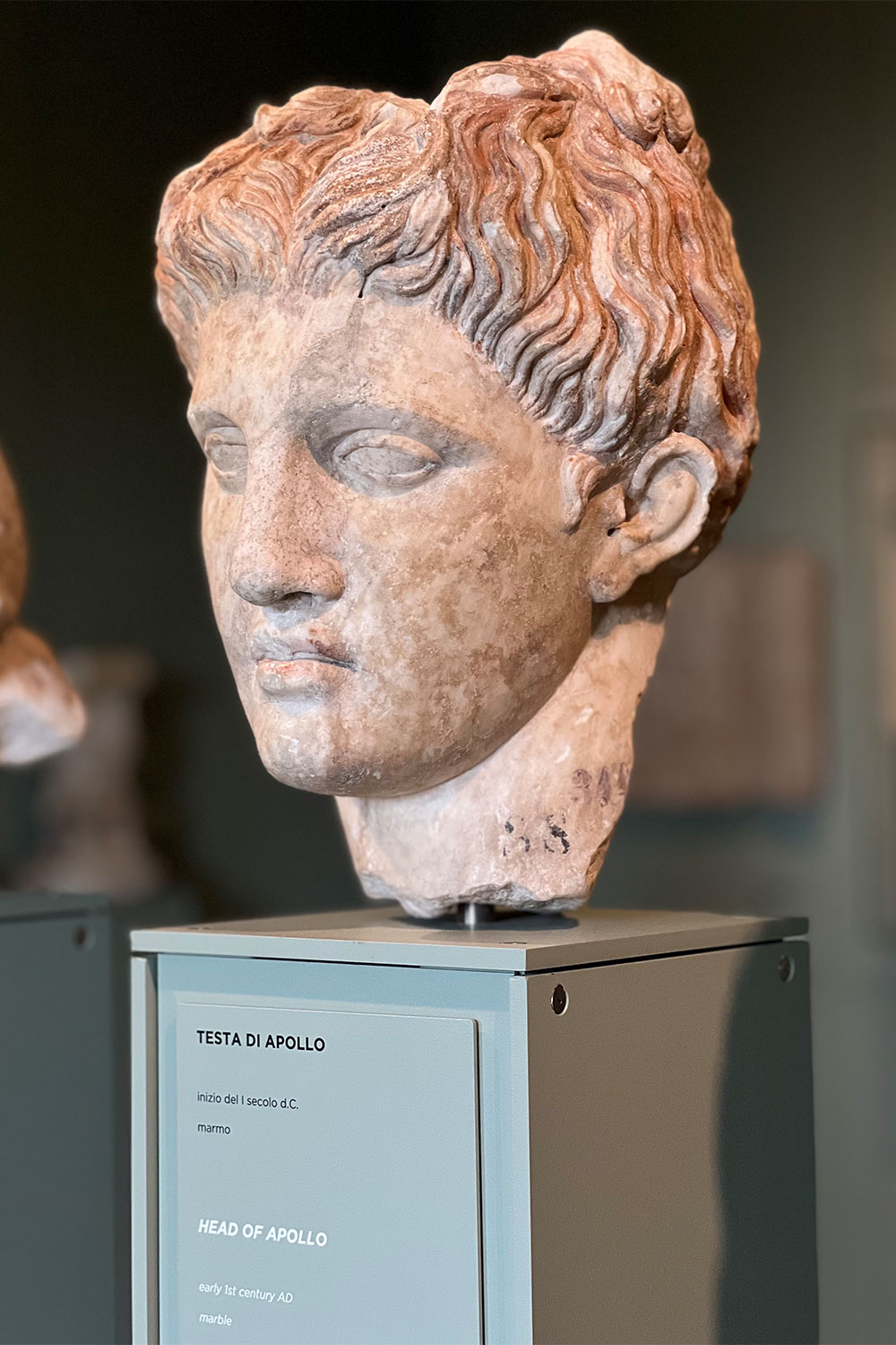 2023-friaul-aquileia-museum-portraetkopf-apollo-IMG_0399mh Tour Friaul 2023: Archäologisches Nationalmuseum Aquileia: Apollo (Foto: Manuela Hahnebach)
