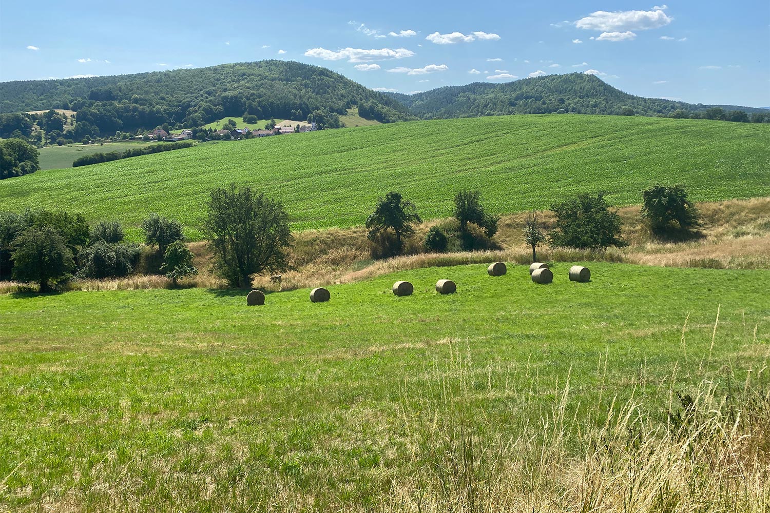 Wanderung zum Kulm: Blick vom Mühlberg nach Oberpreilipp und zum Kulm (Foto: Andreas Kuhrt)