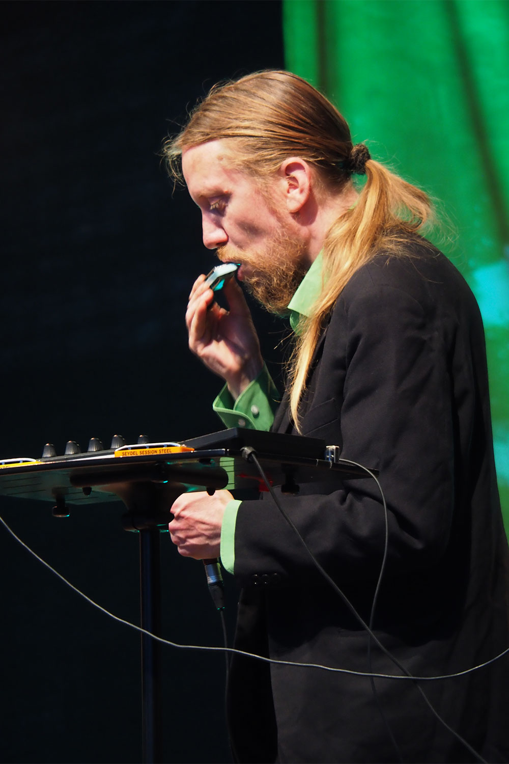 Rudolstadt Festival 2024: Burgterrasse: Eero Grundström (Foto: Andreas Kuhrt)