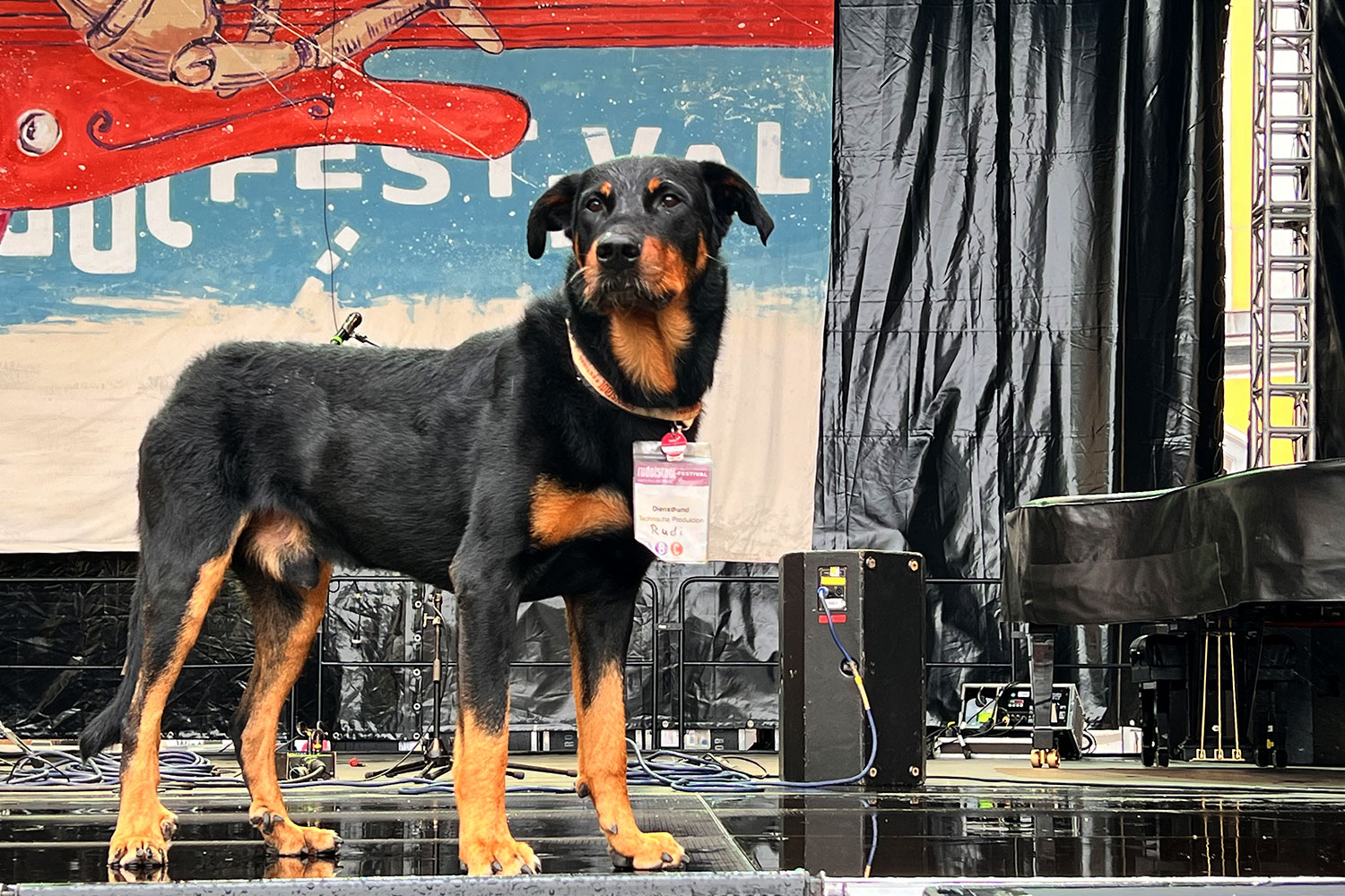 Rudolstadt Festival 2024: Große Bühne Heidecksburg: Diensthund Rudi (Foto: Manuela Hahnebach)