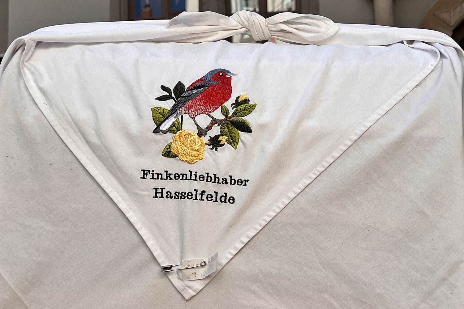 Rudolstadt Festival 2024: Schulplatz: Finkenliebhaber Hasselfelde (Foto: Manuela Hahnebach)