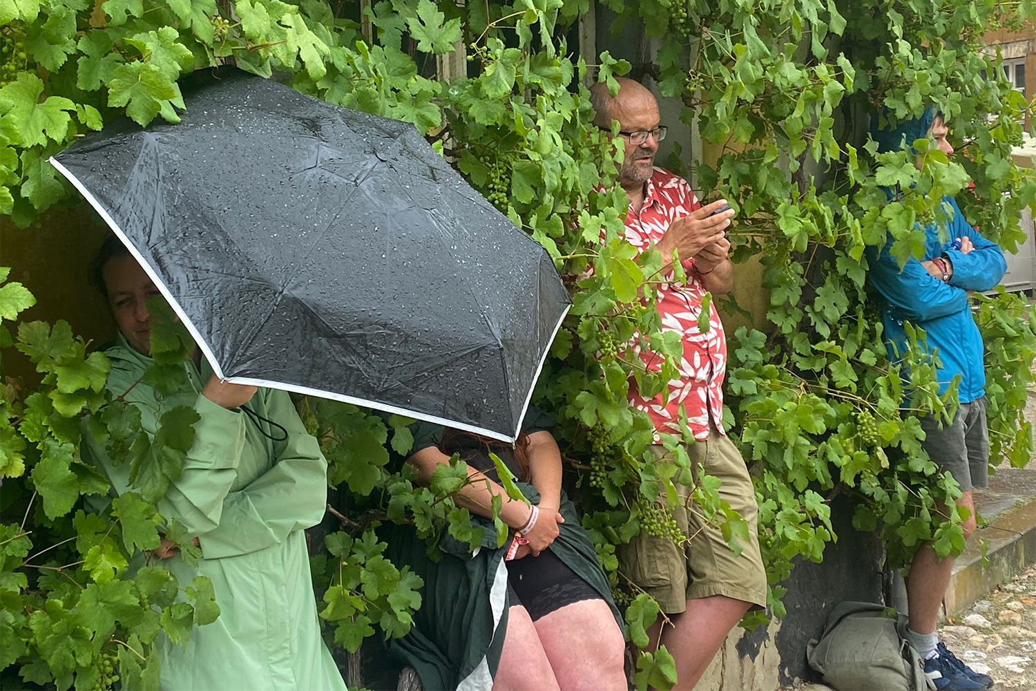 Rudolstadt Festival 2024: Große Bühne Heidecksburg: Regenguss (Foto: Andreas Kuhrt)
