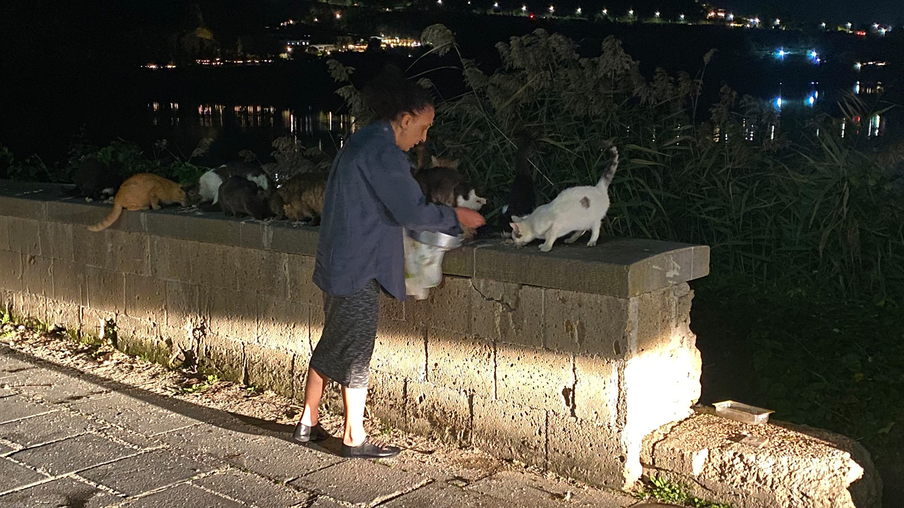 Italien 2025: Nachts am Lago d'Averno: Katzenfütterung (Foto: Andreas Kuhrt)