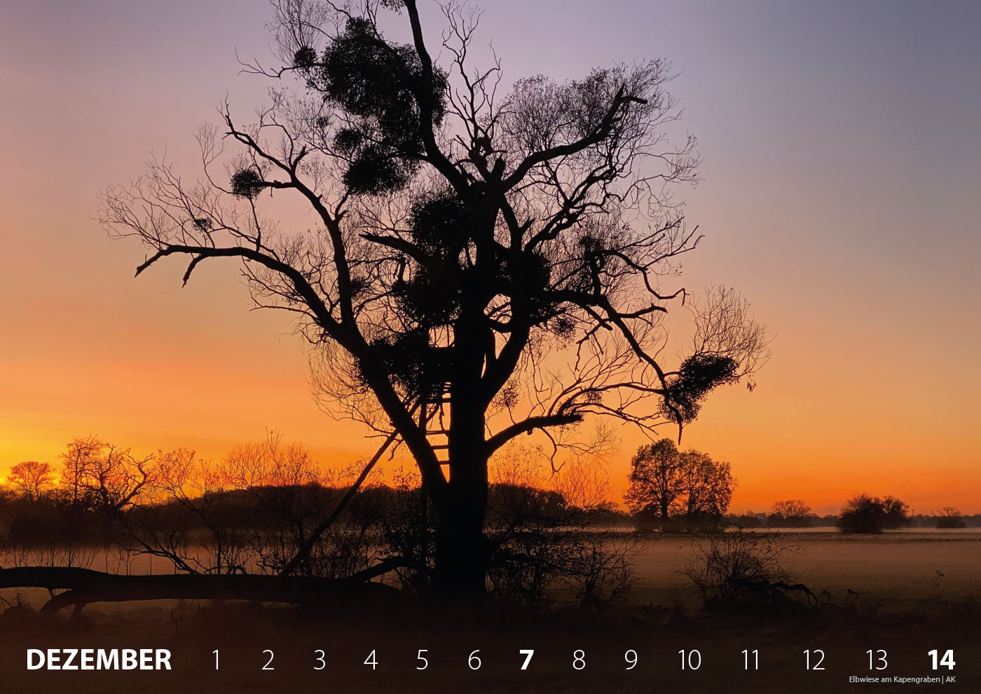 Fotokalender 2025: bauhaus + dessau: Elbwiese beim Kapengraben bei Dessau (Foto/Gestaltung: Andreas Kuhrt)