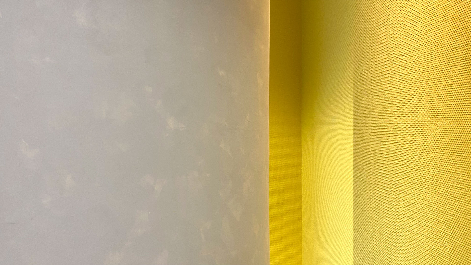 Fotomesse Imaging World Nürnberg 2025: Messehalle 12 Wand (Foto: Andreas Kuhrt)