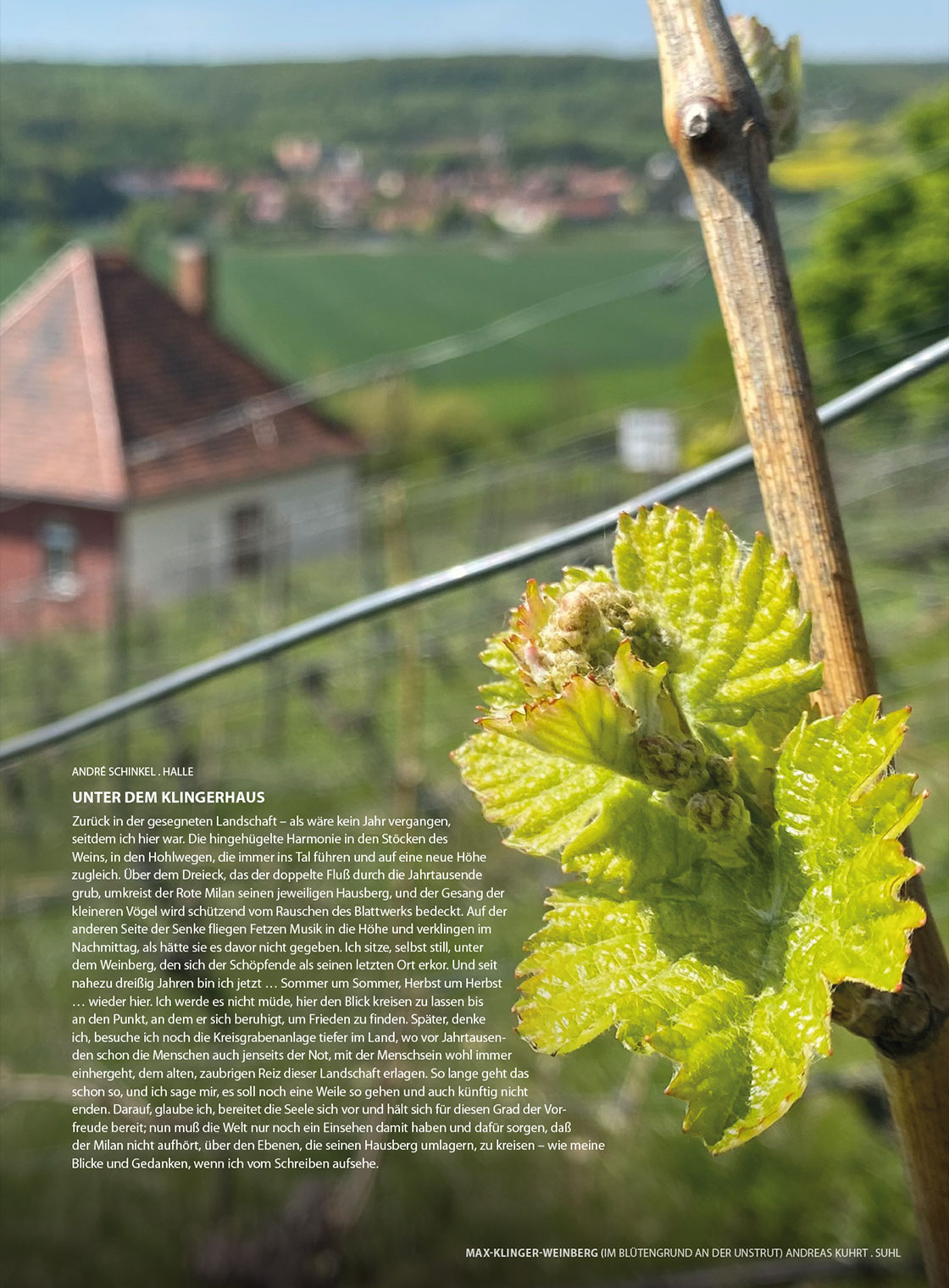 Andreas Kuhrt: Max-Klinger-Weinberg + André Schinkel: Unter dem Klingerhaus