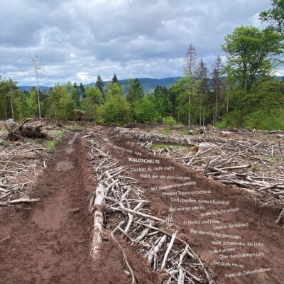 Andreas Kuhrt: War Wald + Holger Uske: Waldschelte
