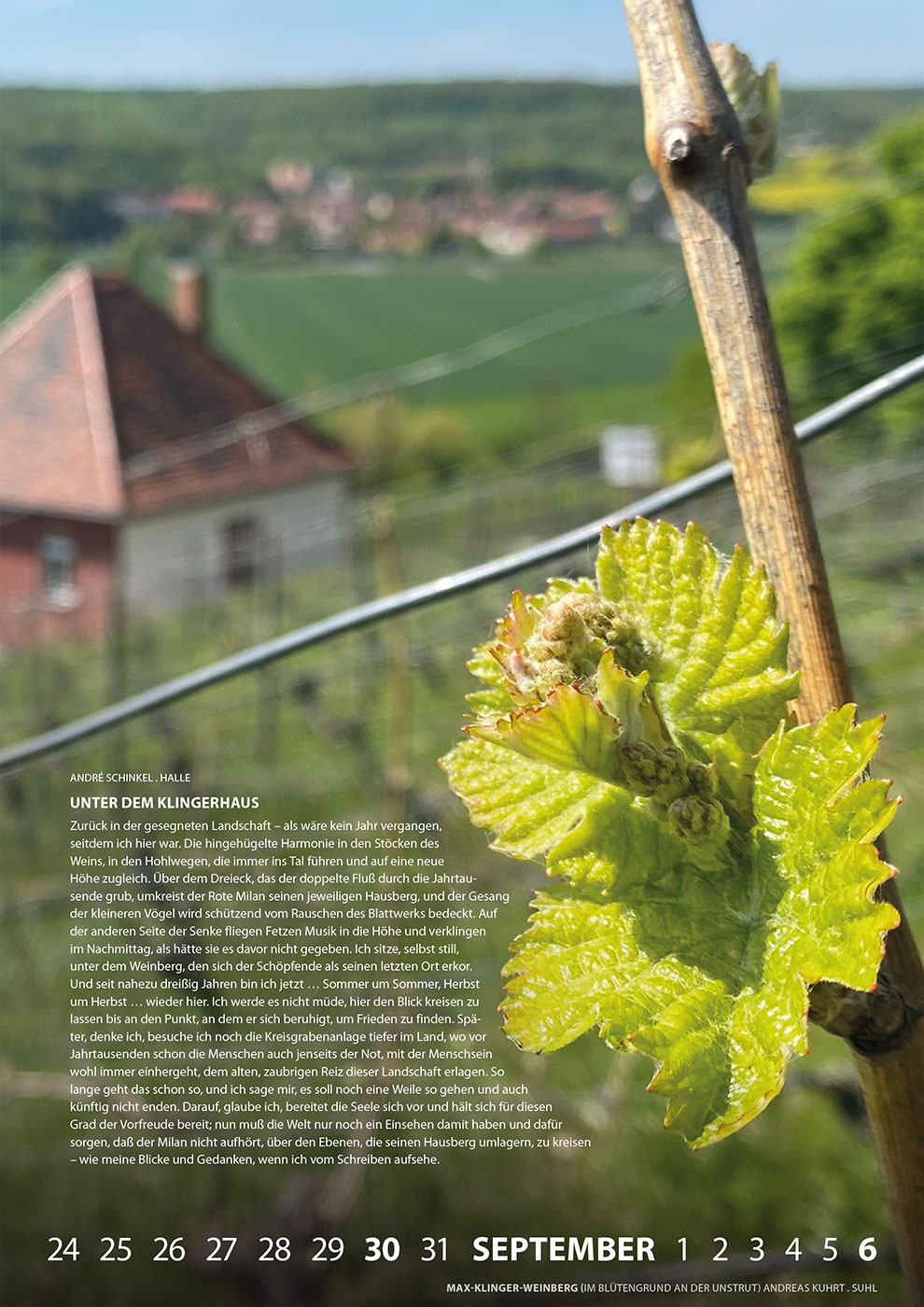 Literaturkalender Thüringer Ansichten 2026: Max-Klinger-Weinberg (Foto: Andreas Kuhrt, Gestaltung: Designakut 2025)