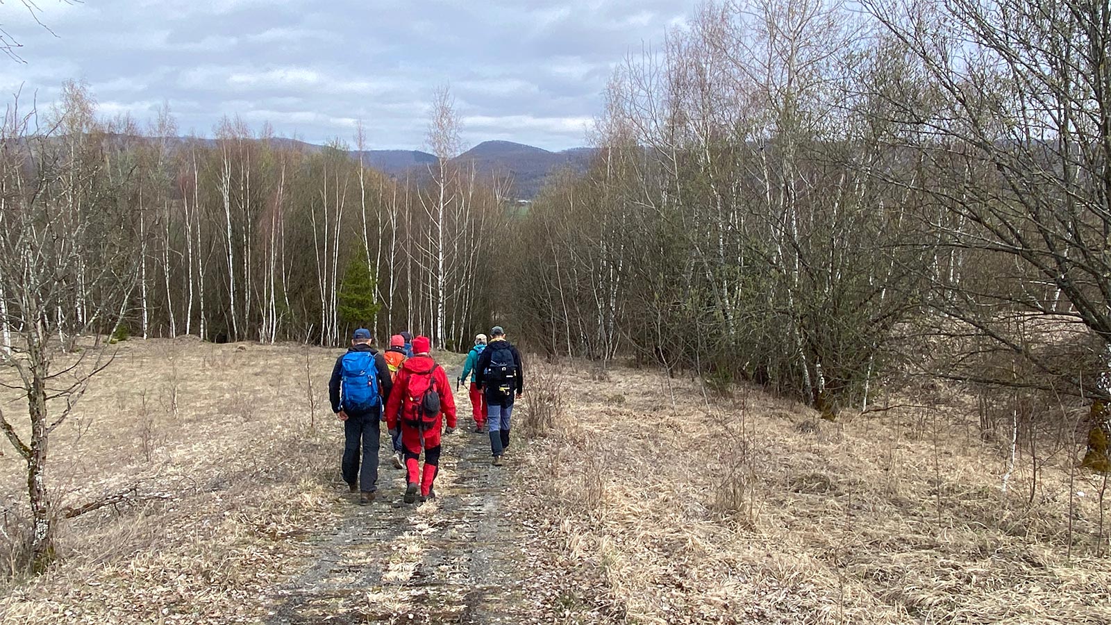 Osterwanderung Grünes Band 2026: Harz: ehemaliger Grenz-Kolonnenweg bei Walkenried (Foto: Andreas Kuhrt)