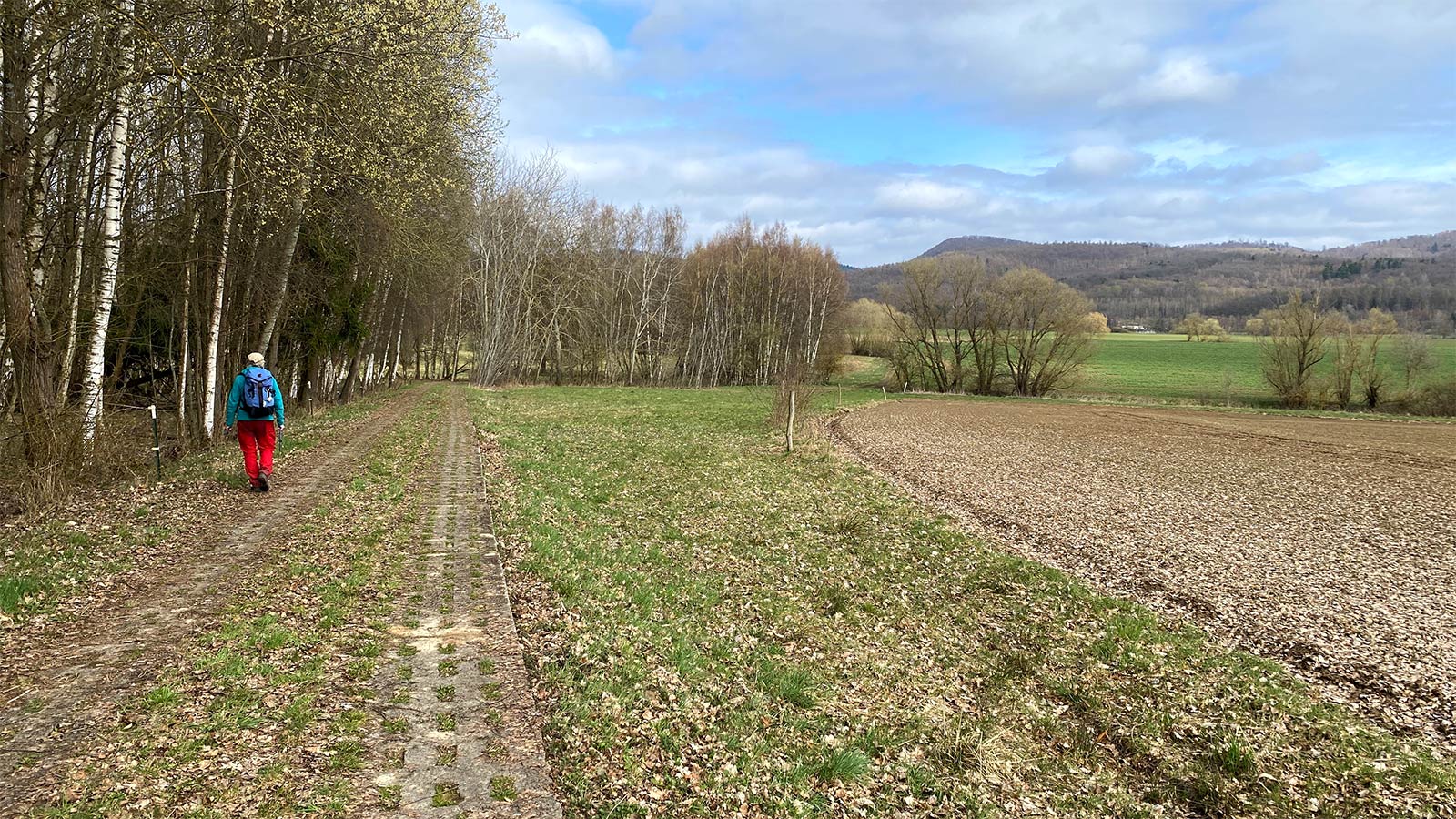 Osterwanderung Grünes Band 2026: Harz: DDR-Kolonnenweg an der ehemaligen Grenze zwischen Walkenried und Ellrich (Foto: Andreas Kuhrt)