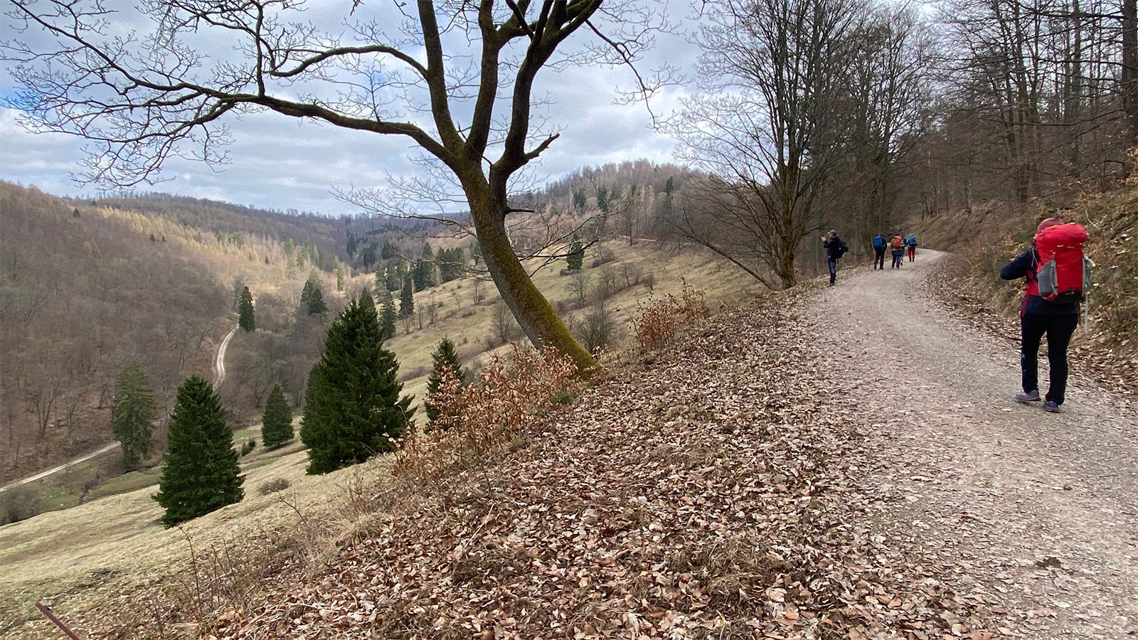 Osterwanderung Grünes Band 2026: Harz: Hundertmorgenwiese (Foto: Andreas Kuhrt)