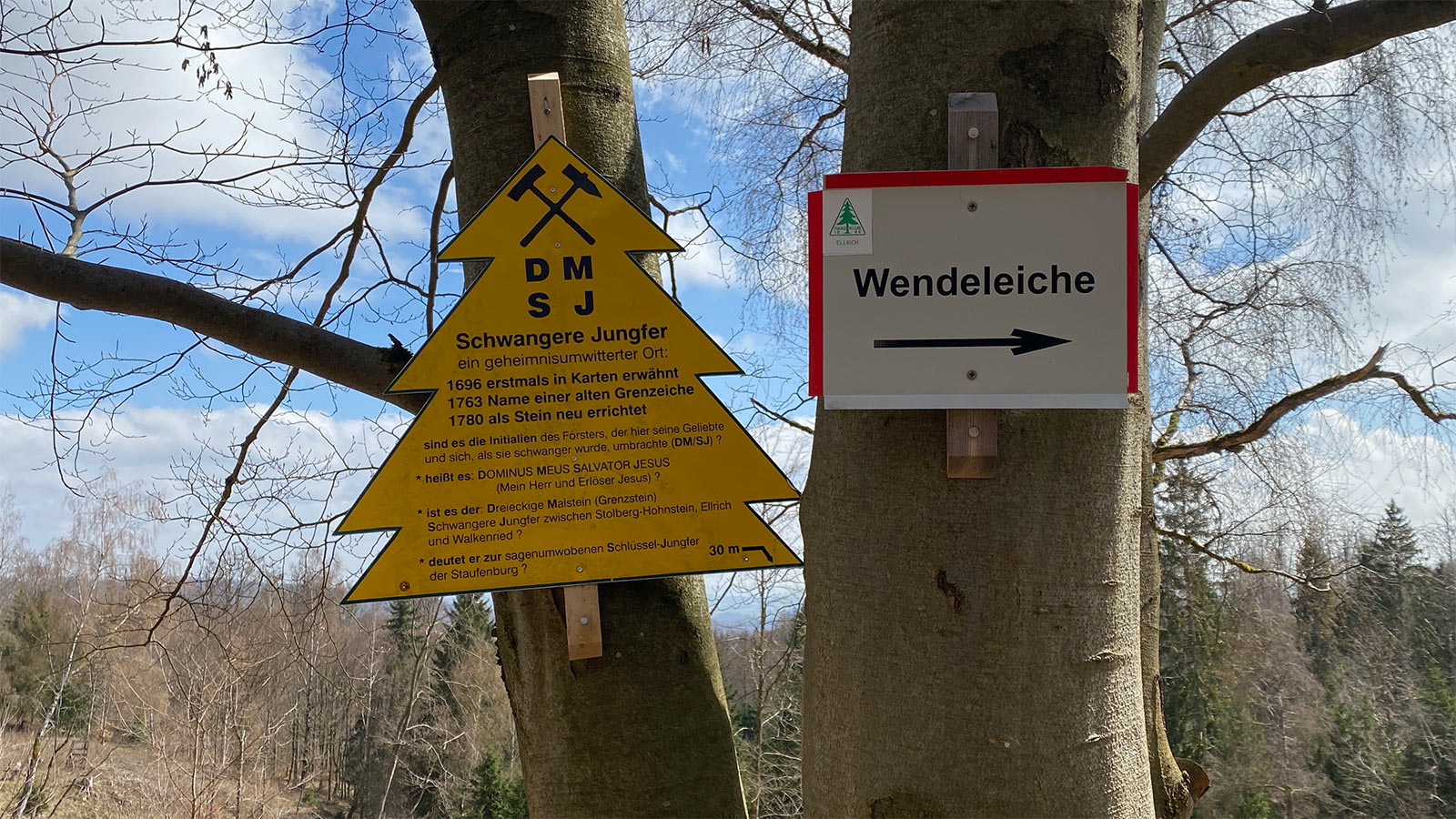 Osterwanderung Grünes Band 2026: Harz: Wegpunkte Schwangere Jungfer und Wendeleiche (Foto: Andreas Kuhrt)