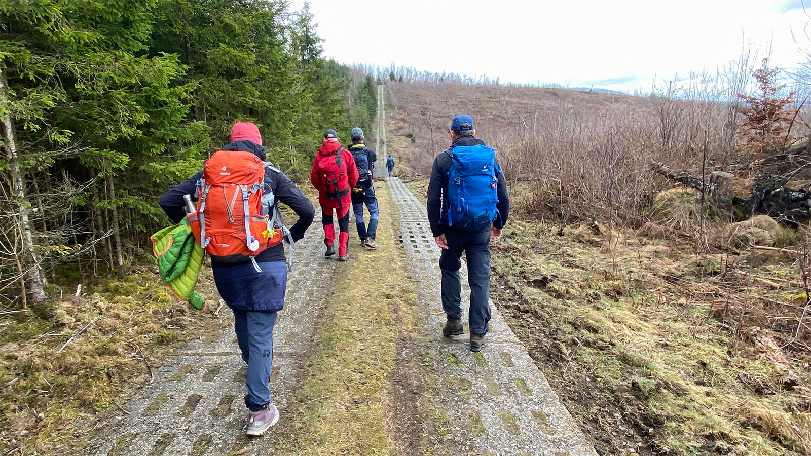 Osterwanderung Grünes Band 2026: Harz: Kolonnenweg bei Hohegeiß (Foto: Andreas Kuhrt)