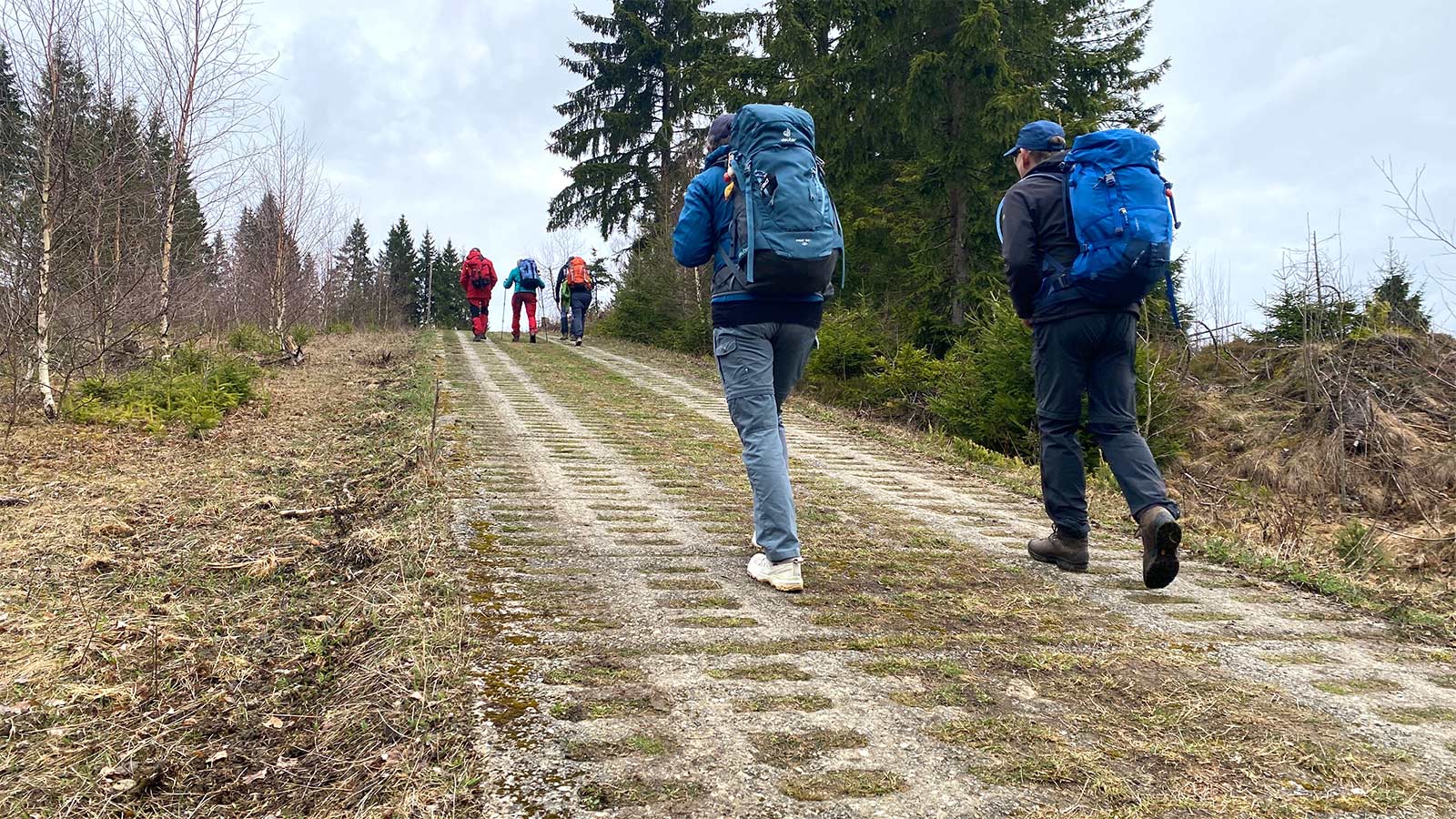 Osterwanderung Grünes Band 2026: Harz: Kolonnenweg bei Hohegeiß (Foto: Andreas Kuhrt)