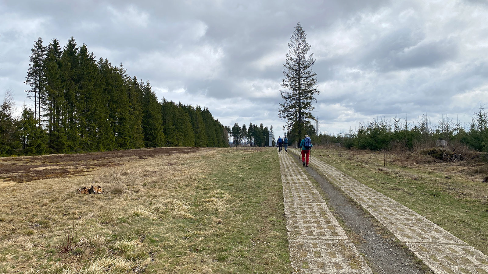 Osterwanderung Grünes Band 2026: Harz: Kolonnenweg zum Grenzmuseum Sorge (Foto: Andreas Kuhrt)