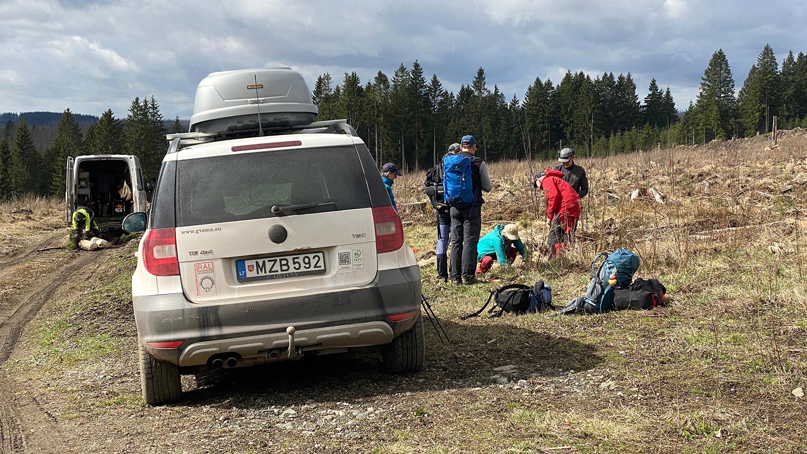 Osterwanderung Grünes Band 2026: Harz: Aufforstung im Oberharz an der Warmen Bode (Foto: Andreas Kuhrt)