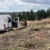 Osterwanderung Grünes Band 2026: Harz: Aufforstung im Oberharz an der Warmen Bode: litauischer Pflanztrupp (Foto: Andreas Kuhrt)