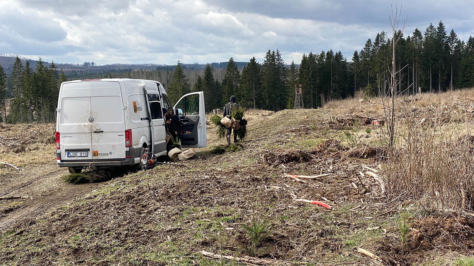 Osterwanderung Grünes Band 2026: Harz: Aufforstung im Oberharz an der Warmen Bode: litauischer Pflanztrupp (Foto: Andreas Kuhrt)