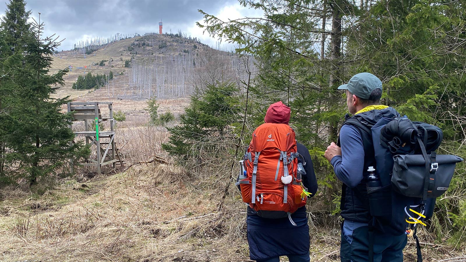 Osterwanderung Grünes Band 2026: Harz: am Wurmberg (Foto: Andreas Kuhrt)