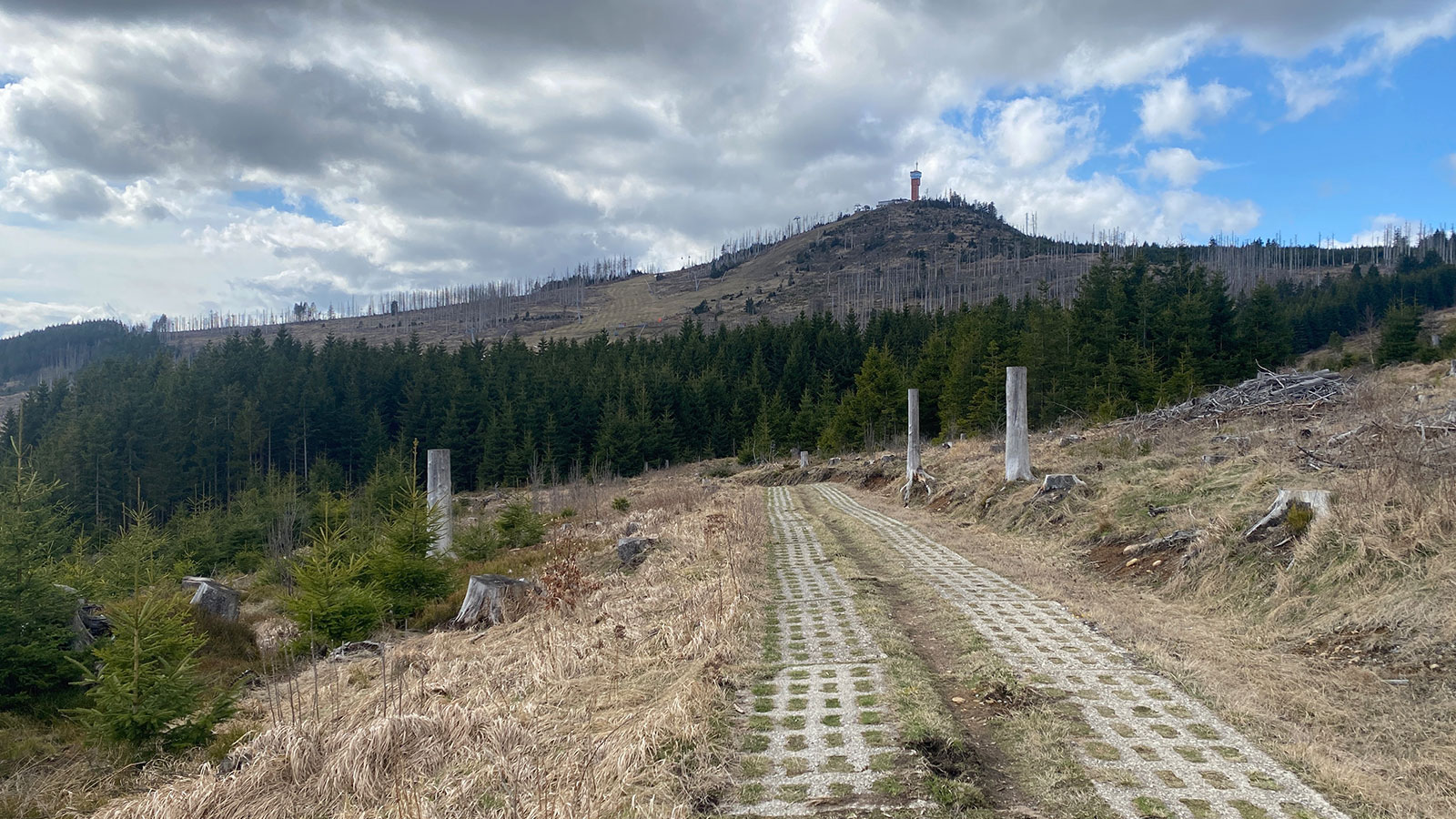 Osterwanderung Grünes Band 2026: Harz: Ulmer Weg am Wurmberg (Foto: Andreas Kuhrt)