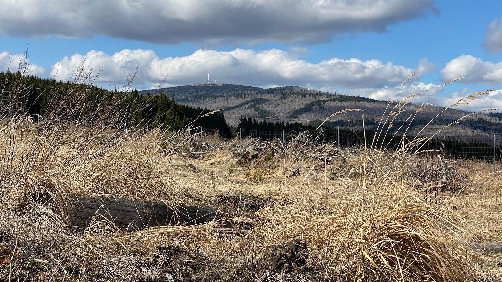Osterwanderung Grünes Band 2026: Harz: Ulmer Weg: Blick zum Brocken (Foto: Andreas Kuhrt)
