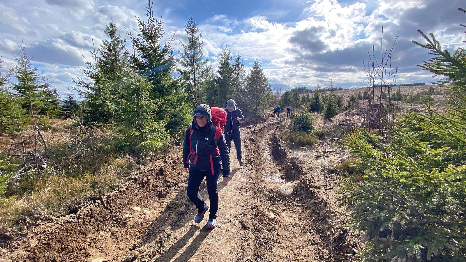 Osterwanderung Grünes Band 2026: Harz: Ulmer Weg: Braunlager Weg nach Schierke (Foto: Andreas Kuhrt)