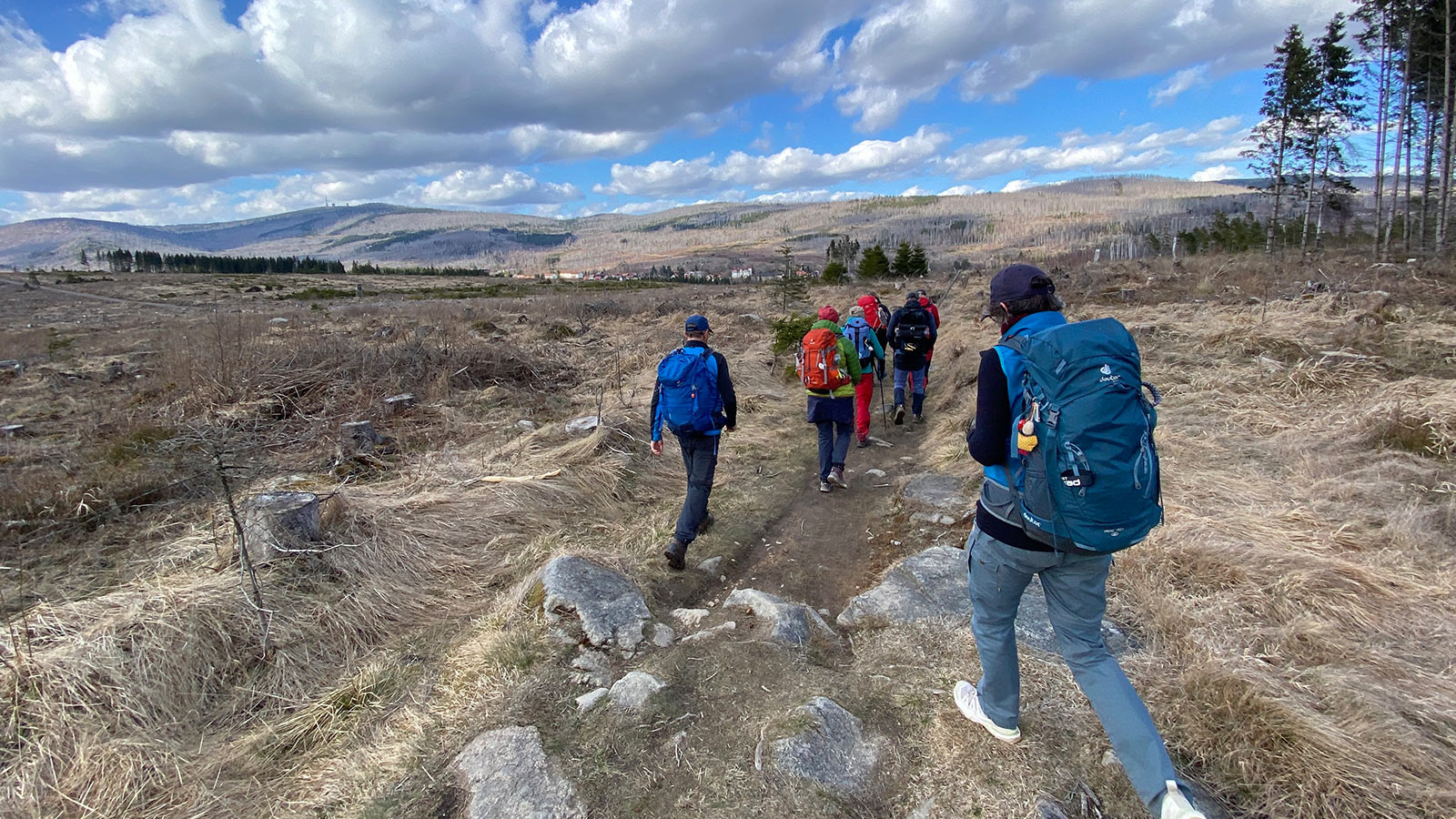 Osterwanderung Grünes Band 2026: Harz: Ulmer Weg: Braunlager Weg nach Schierke (Foto: Andreas Kuhrt)