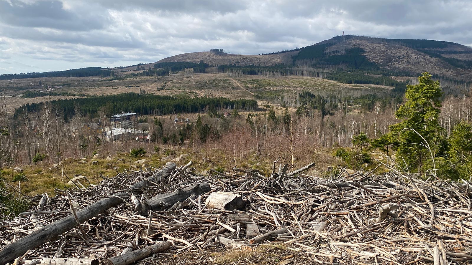 Osterwanderung Grünes Band 2026: Harz: Aufstieg zum Brocken: Alte Bobbahn: Aussicht zur Jugendherberge Schierke (links), Wurmberg (rechts) (Foto: Andreas Kuhrt)