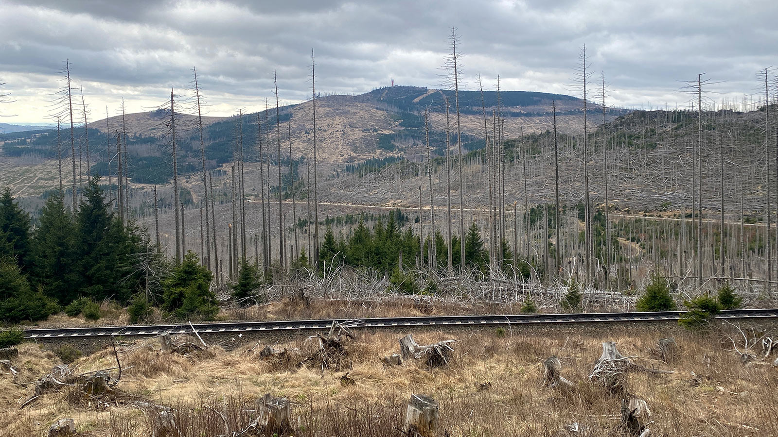 Osterwanderung Grünes Band 2026: Harz: Aufstieg zum Brocken: Bahnparallelweg (Foto: Andreas Kuhrt)