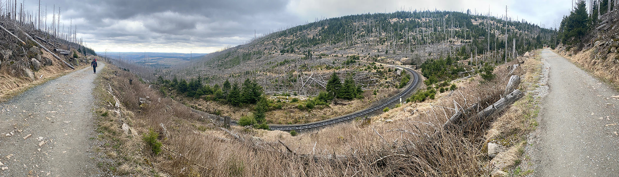 Osterwanderung Grünes Band 2026: Harz: Aufstieg zum Brocken: Bahnparallelweg (Foto: Andreas Kuhrt)