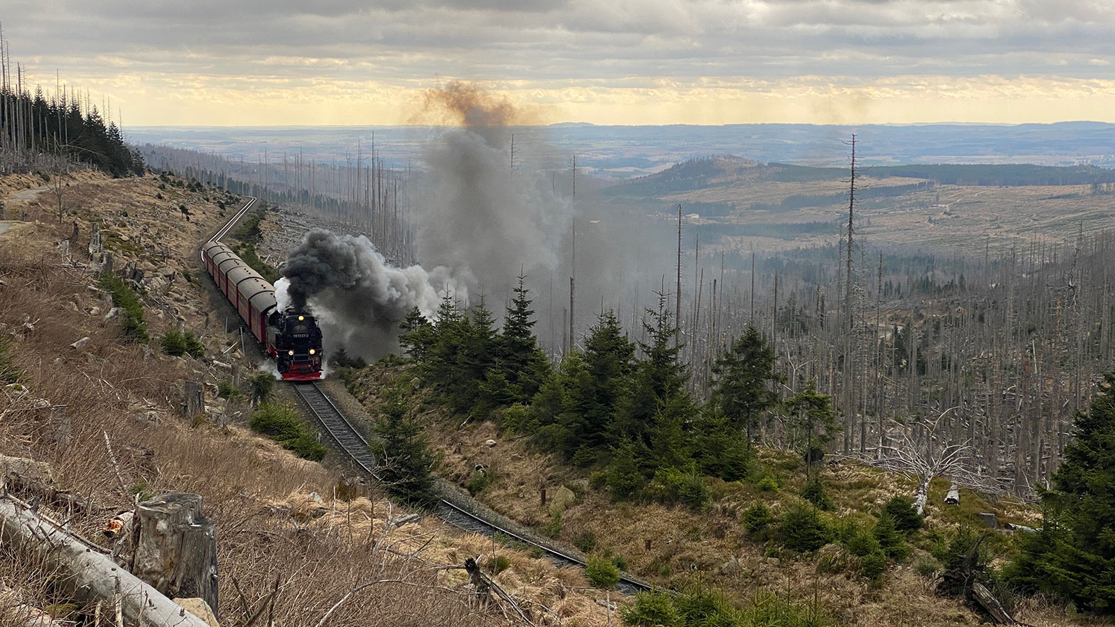 Osterwanderung Grünes Band 2026: Harz: Aufstieg zum Brocken: Brockenbahn am Bahnparallelweg (Foto: Andreas Kuhrt)
