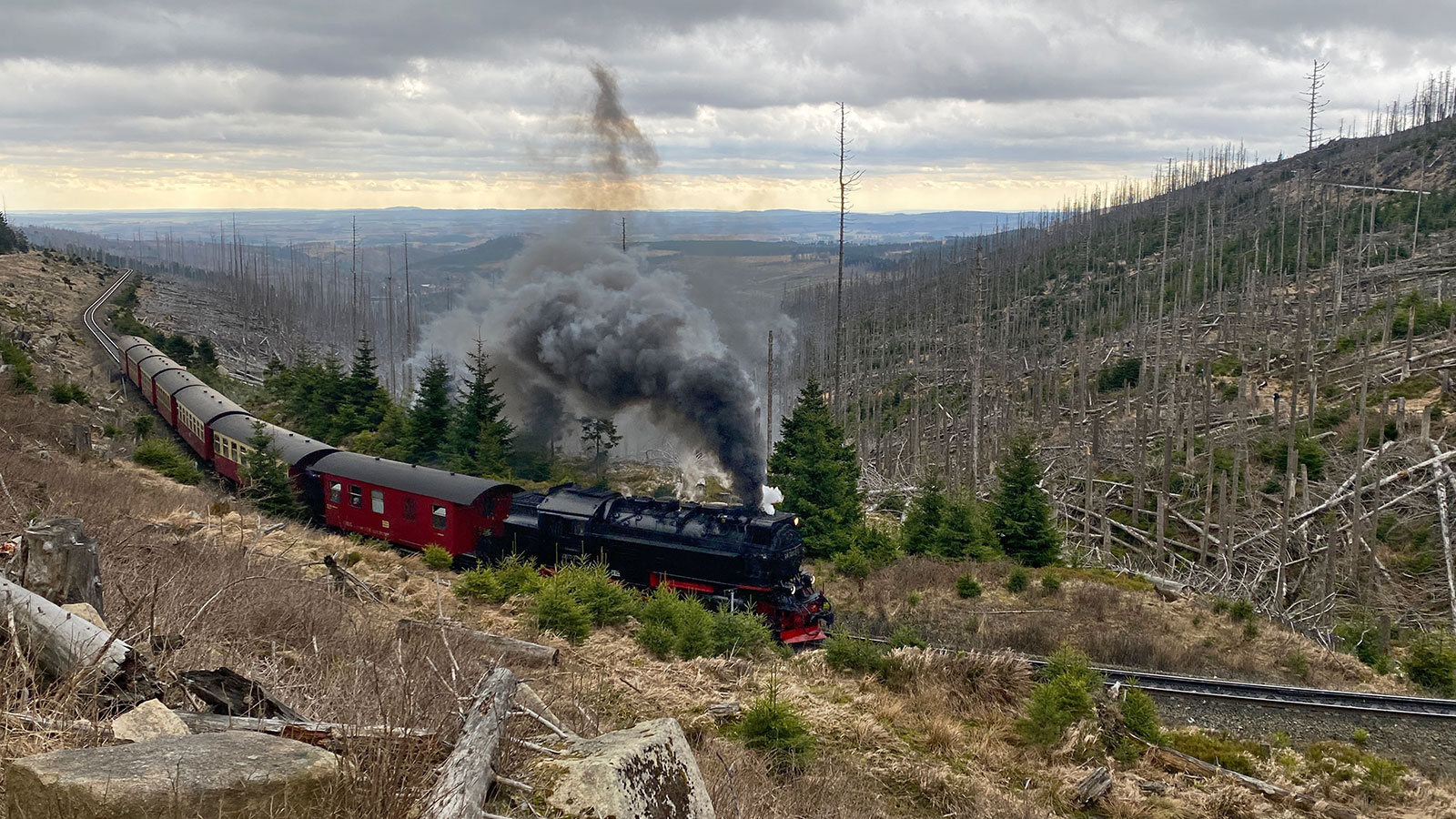 Osterwanderung Grünes Band 2026: Harz: Aufstieg zum Brocken: Brockenbahn am Bahnparallelweg (Foto: Andreas Kuhrt)