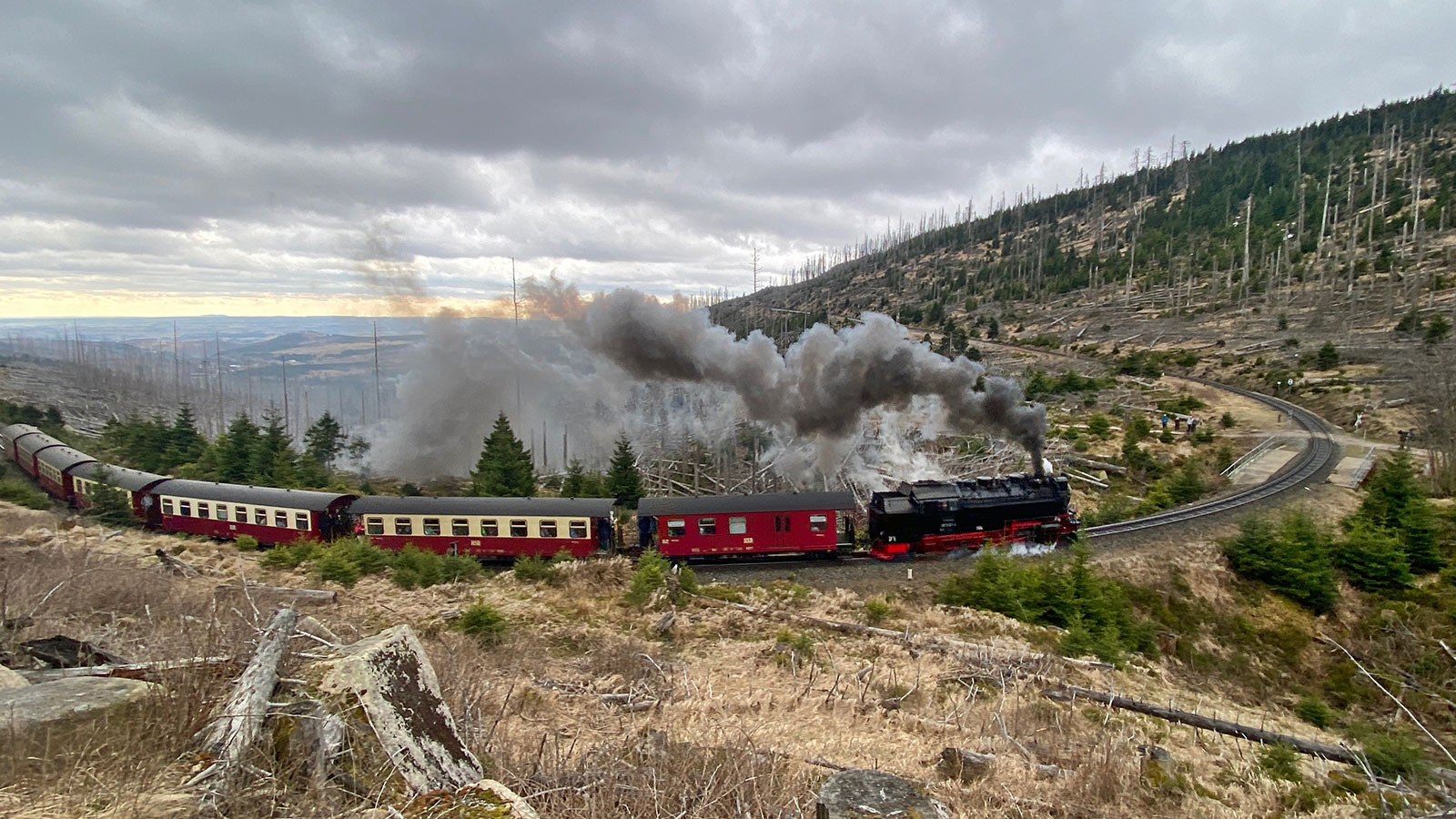 Osterwanderung Grünes Band 2026: Harz: Aufstieg zum Brocken: Brockenbahn am Bahnparallelweg (Foto: Andreas Kuhrt)