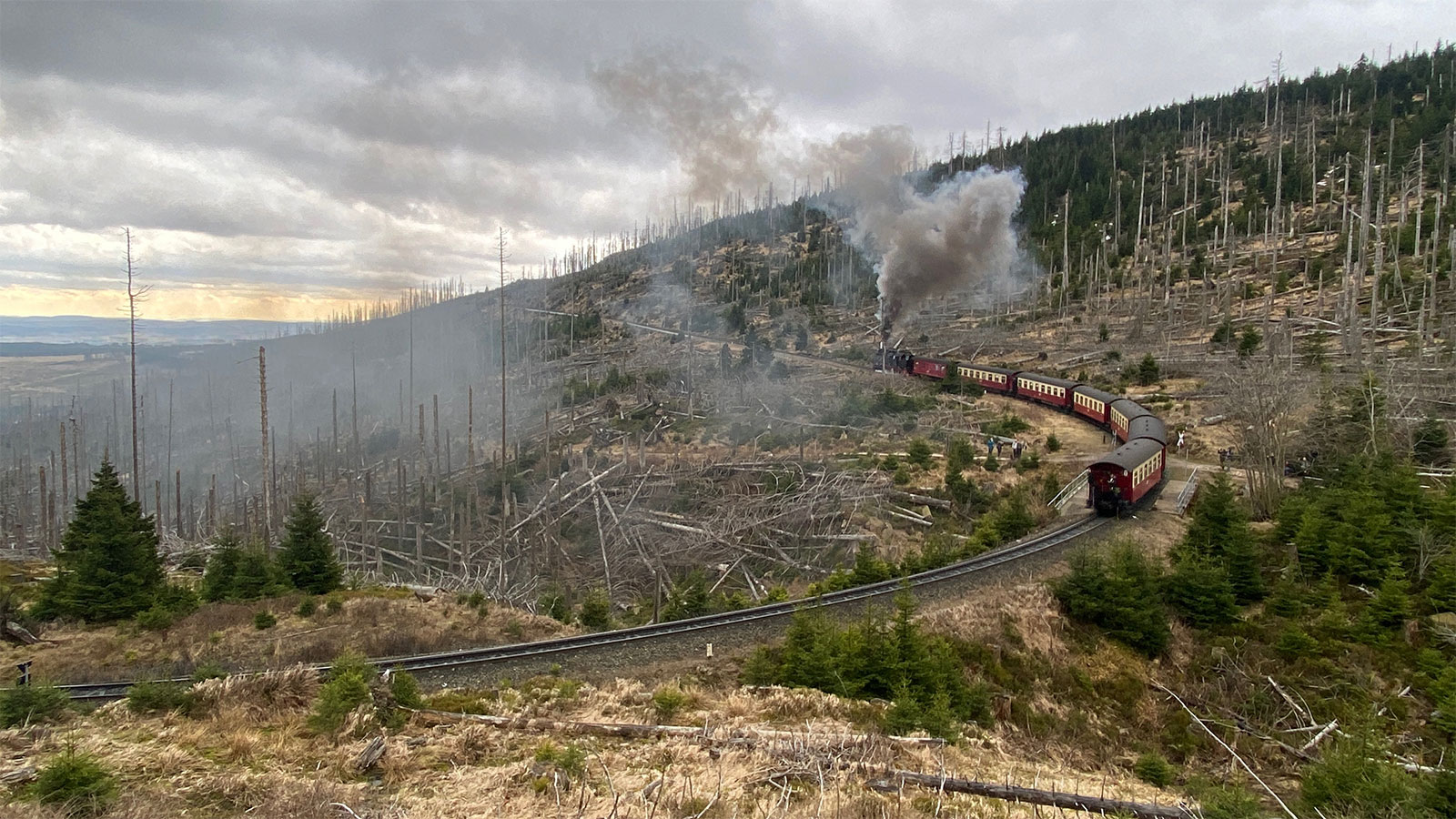 Osterwanderung Grünes Band 2026: Harz: Aufstieg zum Brocken: Brockenbahn am Bahnparallelweg (Foto: Andreas Kuhrt)