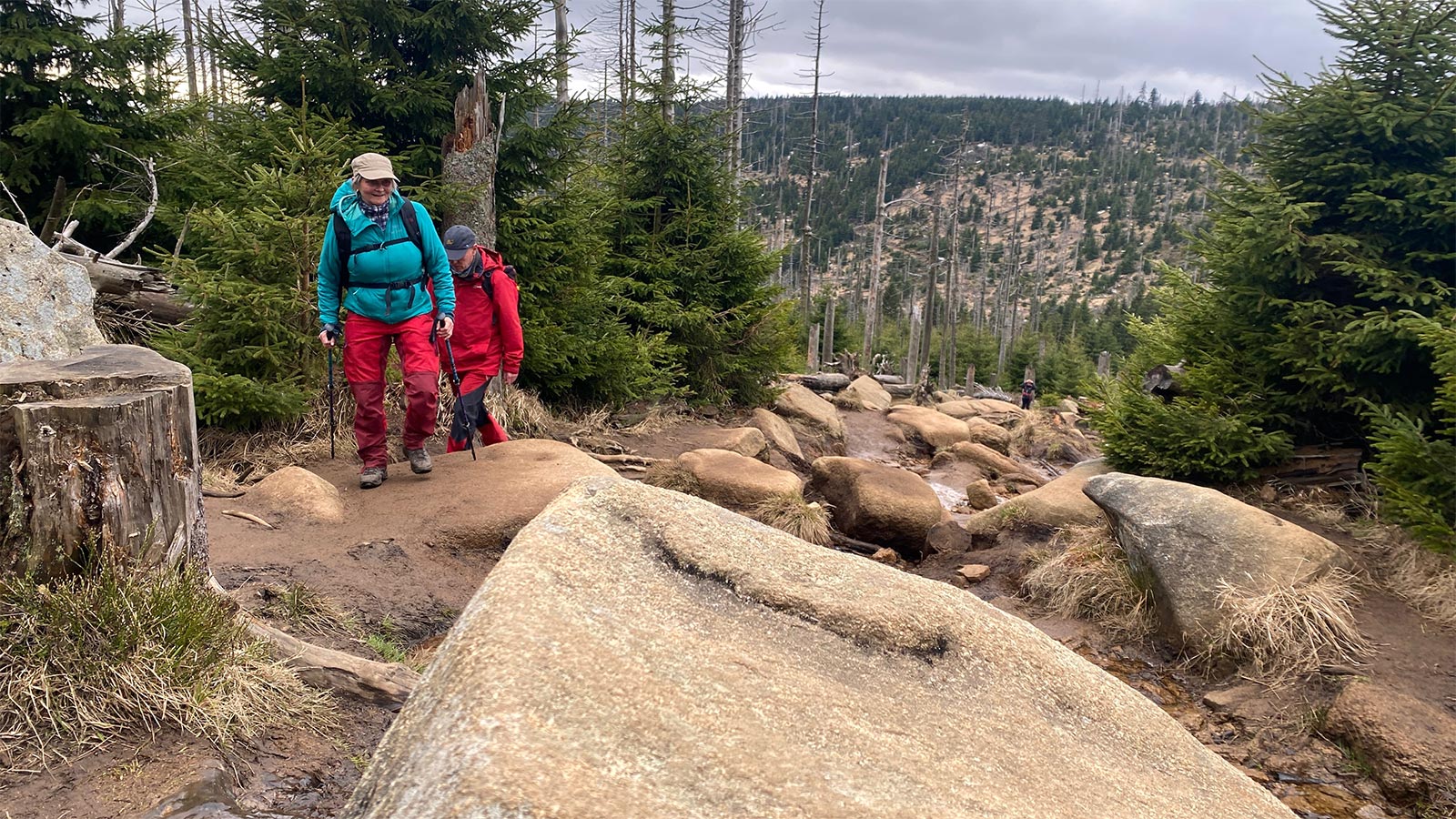 Osterwanderung Grünes Band 2026: Harz: Aufstieg zum Brocken: Eckerlochstieg (Foto: Andreas Kuhrt)