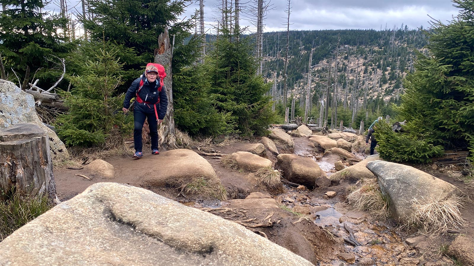 Osterwanderung Grünes Band 2026: Harz: Aufstieg zum Brocken: Eckerlochstieg (Foto: Andreas Kuhrt)
