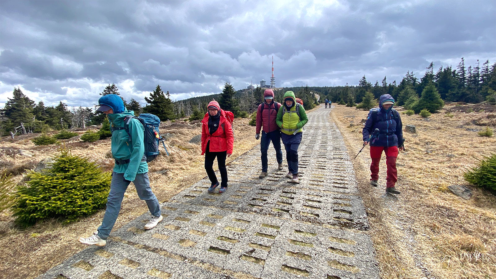 Osterwanderung Grünes Band 2026: Harz: Abstieg vom Brocken auf dem Hirtenstieg (Foto: Andreas Kuhrt)