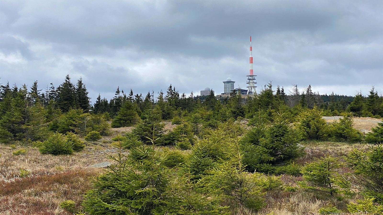 Osterwanderung Grünes Band 2026: Harz: Brocken von Norden (Foto: Andreas Kuhrt)
