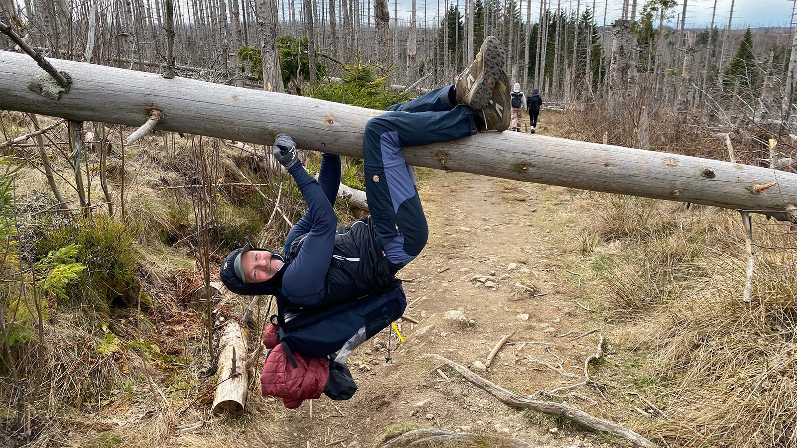 Osterwanderung Grünes Band 2026: Harz: Totwald beim Eckerstausee (Foto: Andreas Kuhrt)
