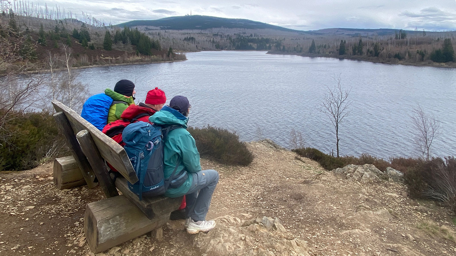 Osterwanderung Grünes Band 2026: Harz: Aussicht am Eckerstausee (Foto: Andreas Kuhrt)