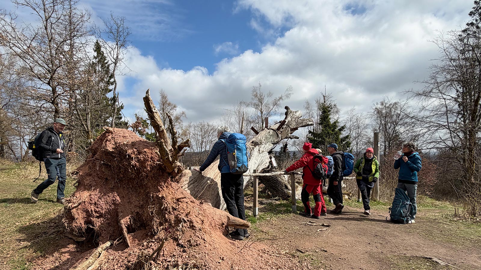 Osterwanderung Grünes Band 2026: Harz: Wendeleiche (Foto: Manuela Hahnebach)