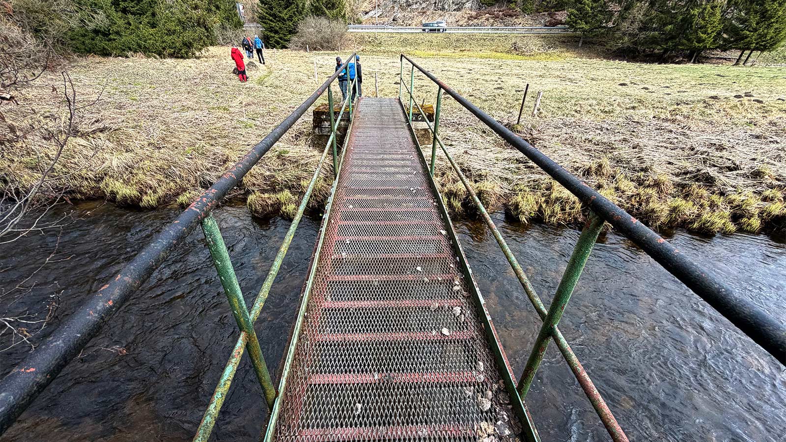 Osterwanderung Grünes Band 2026: Harz: Behelfsbrücke über die Warme Bode an der ehemaligen DDR-Grenze bei Sorge (Foto: Manuela Hahnebach)